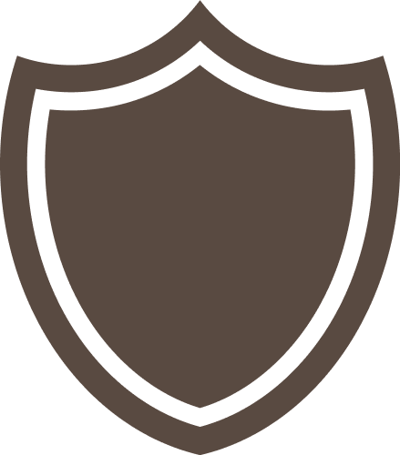 Brown Fire Protection Icon